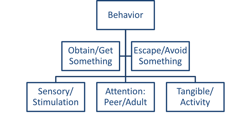 Behavior: Obtain/Get Something, Escape/Avoid Something, Sensory/ Stimulation, Attention: Peer/Adult, Tangible/ Activity.