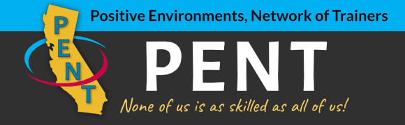 Positive Environments, Network of Trainers (PENT) - None of us is as skilled as all of us!